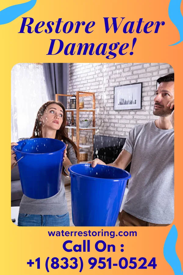 water restoration Lightning Cleanup Crew Ulm
