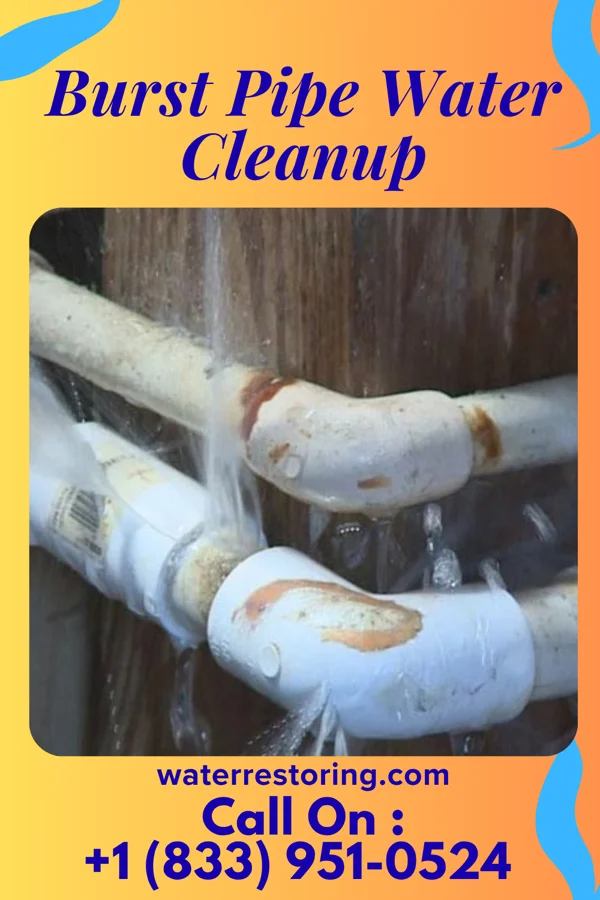 Burst Pipe Water Cleanup in Ulm, AR