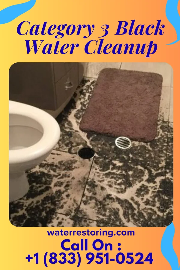 Category 3 Black Water Cleanup in Ulm, AR