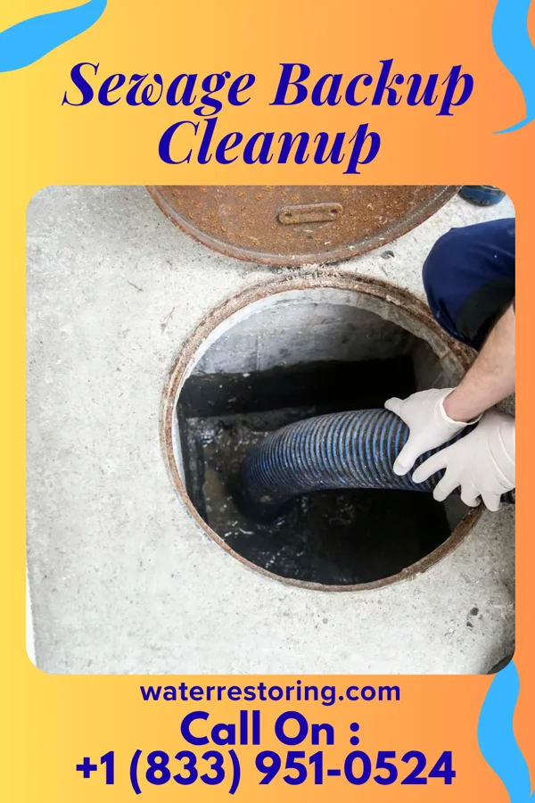 Sewage Backup Cleanup in Ulm, AR
